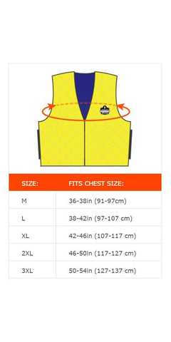Ergodyne Chill-Its 6665 Evaporative Cooling Vest - Gray, Large