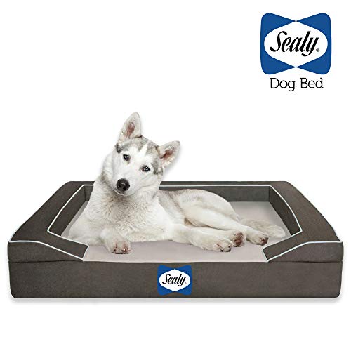 Sealy Dog Bed with Quad Layer Technology, Large, Modern Gray
