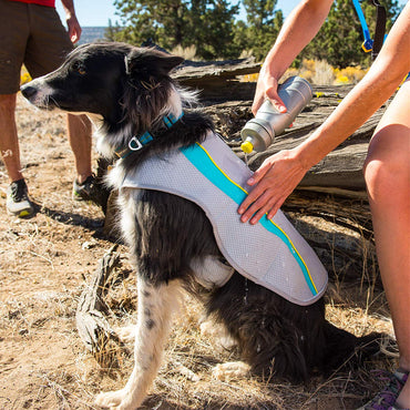 Evaporative Dog Cooling Vest