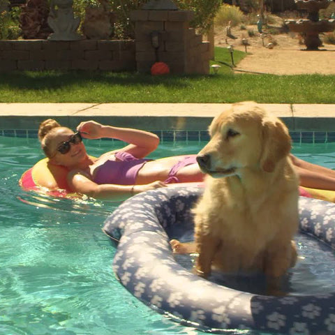 Spring Dog Pool Float